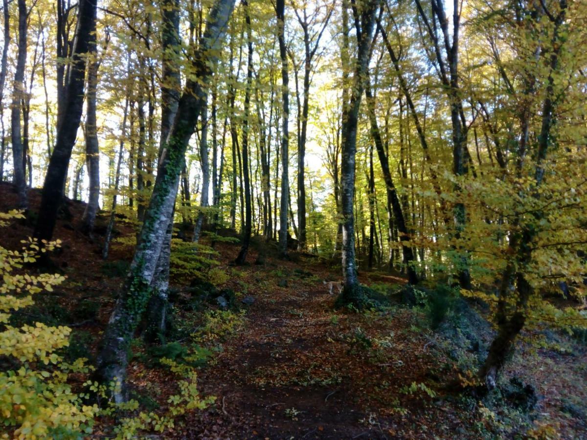 Can Pedragos Sales de Llierca Exteriör bild